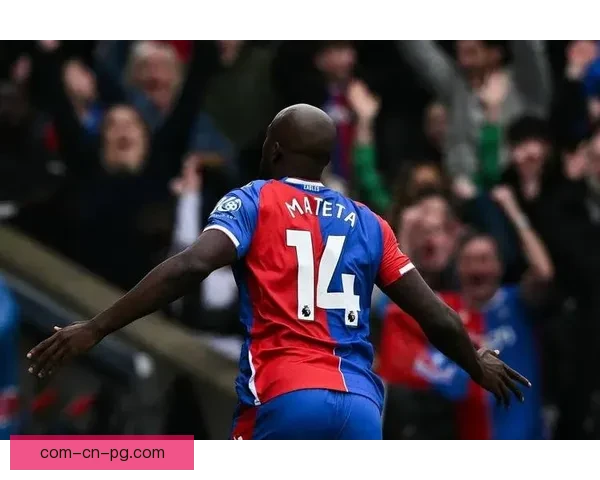 2025年夏季转会水晶宫成功引进法甲中卫新星实力提升